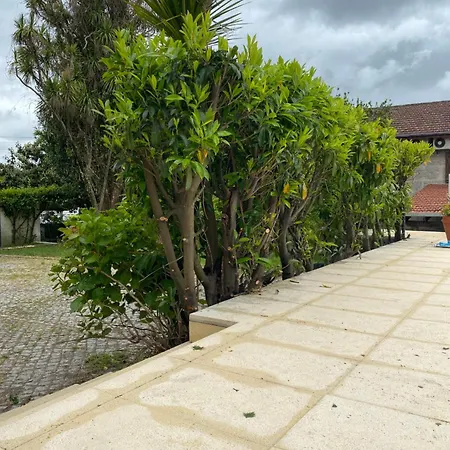 Casa Augusta - Quinta מלון